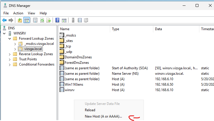 windows_srv_dns_new_host1.png